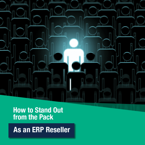 Stand Out as an ERP Reseller