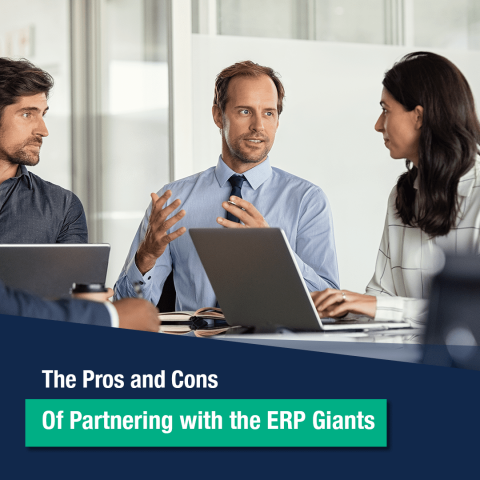 Partnering With ERP Giants